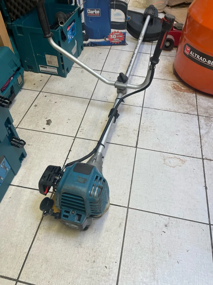 Strimmer - Image 1