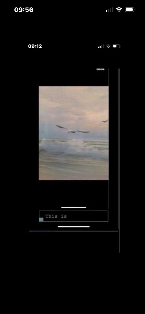 Original Florida painting - Image 3