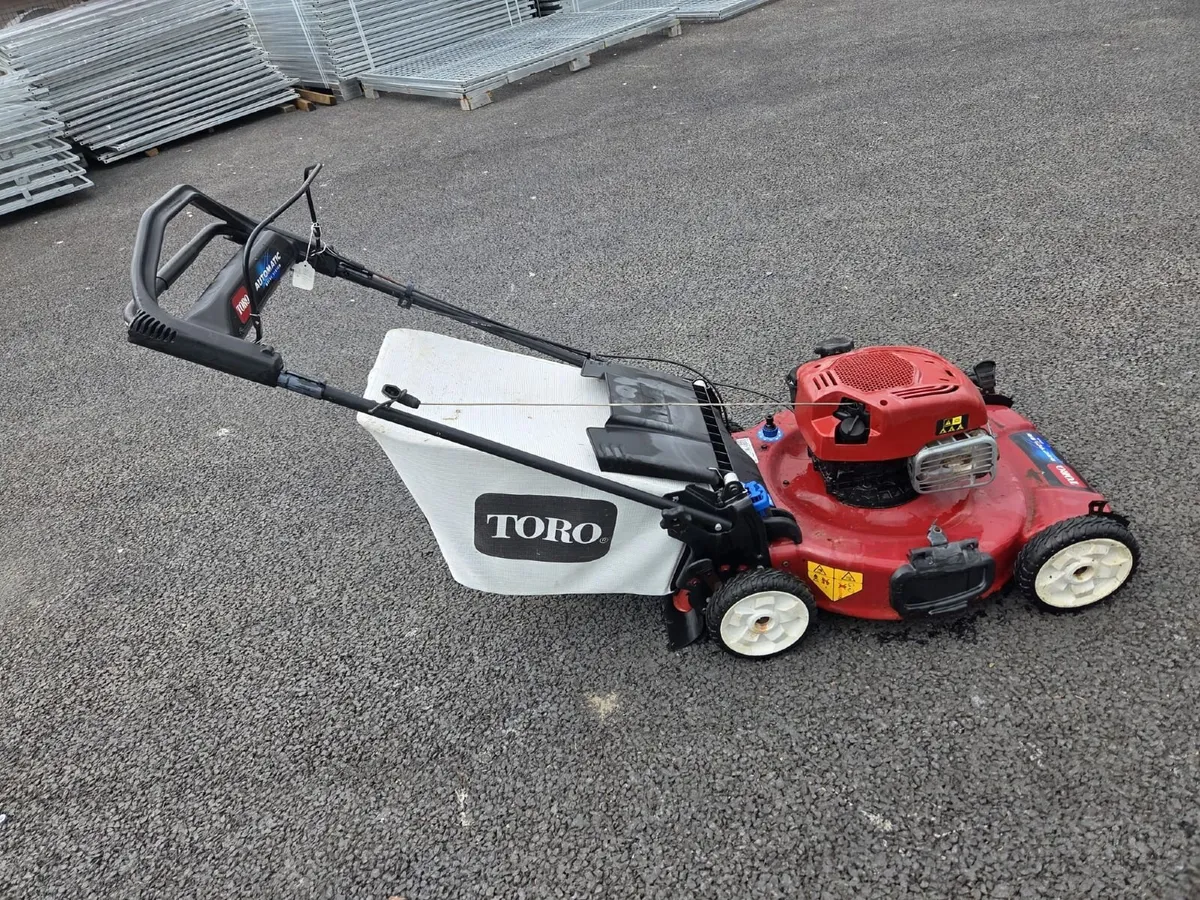 Self drive Lawnmower - Image 2