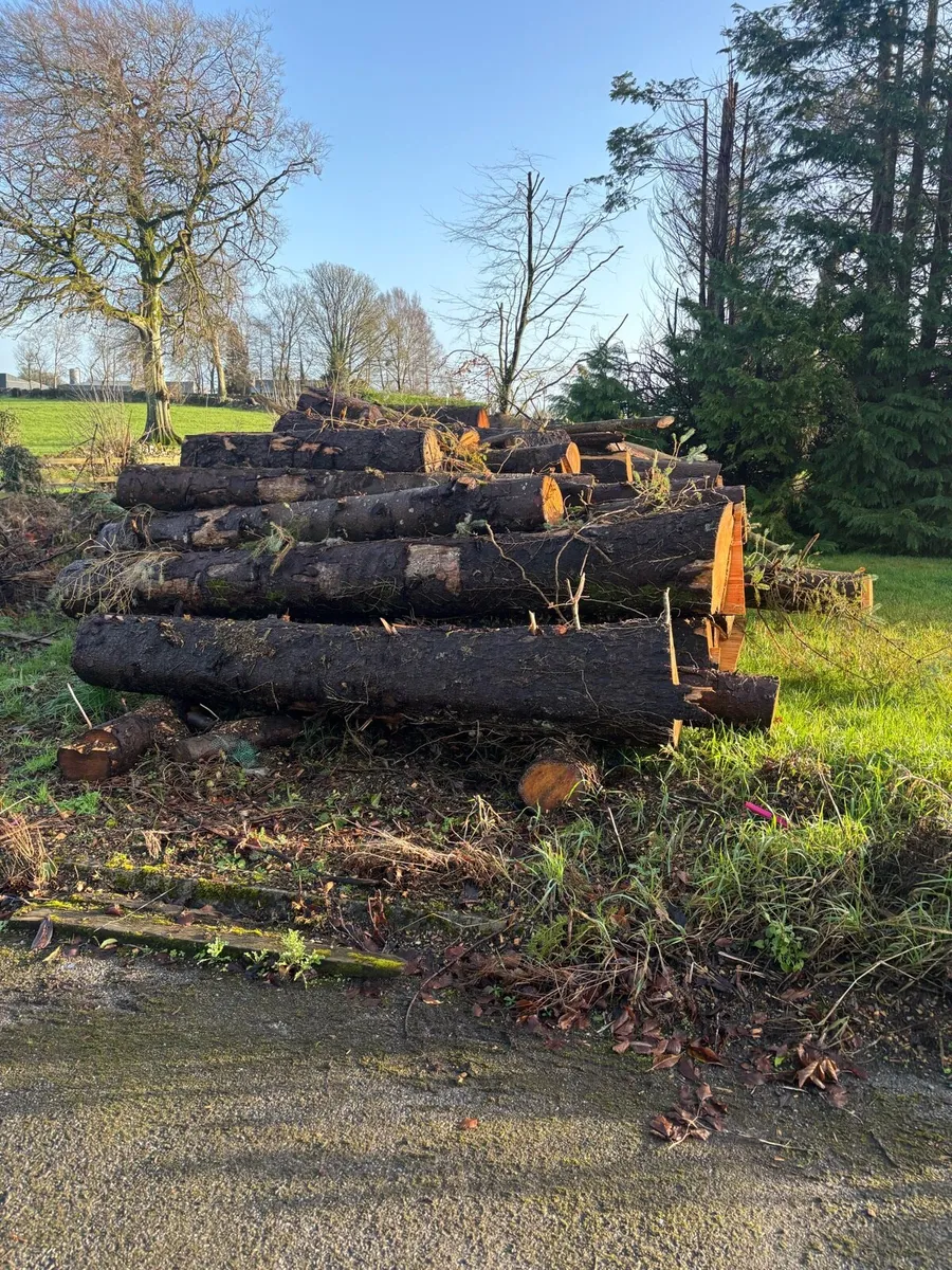Firewood - Image 2