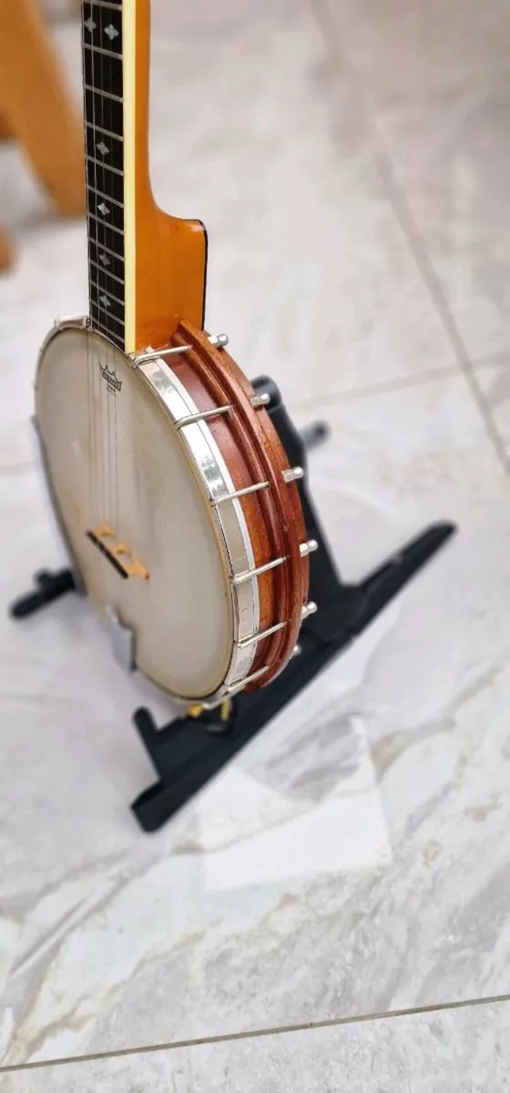 AP Toman Long Neck Banjo - Image 3