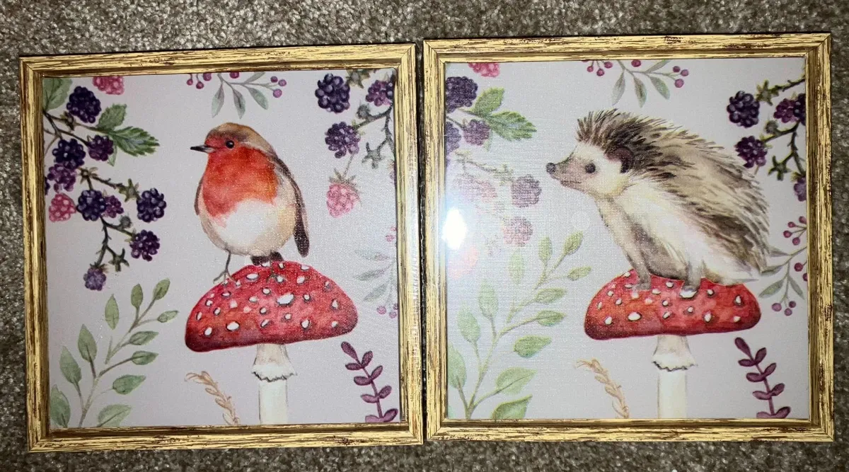 Pictures