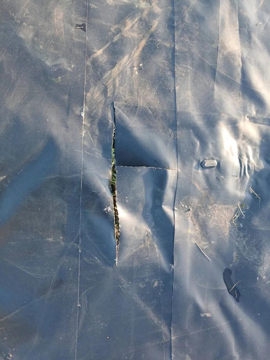 Extra large tarpaulin - Image 2