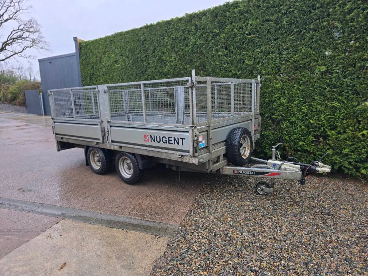 Nugent 12ft Dropside trailer with meshsides - Image 1