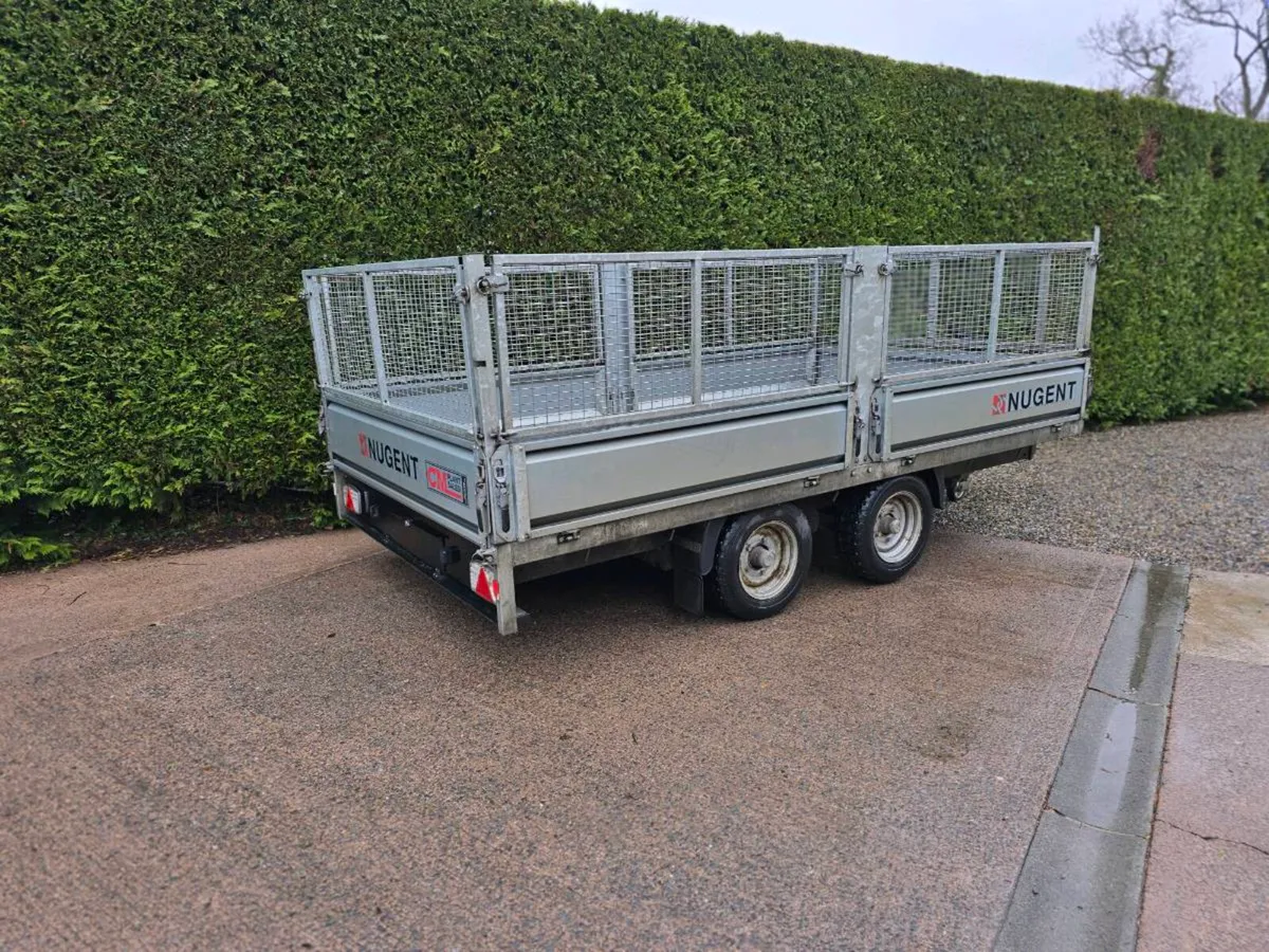 Nugent 12ft Dropside trailer with meshsides - Image 2