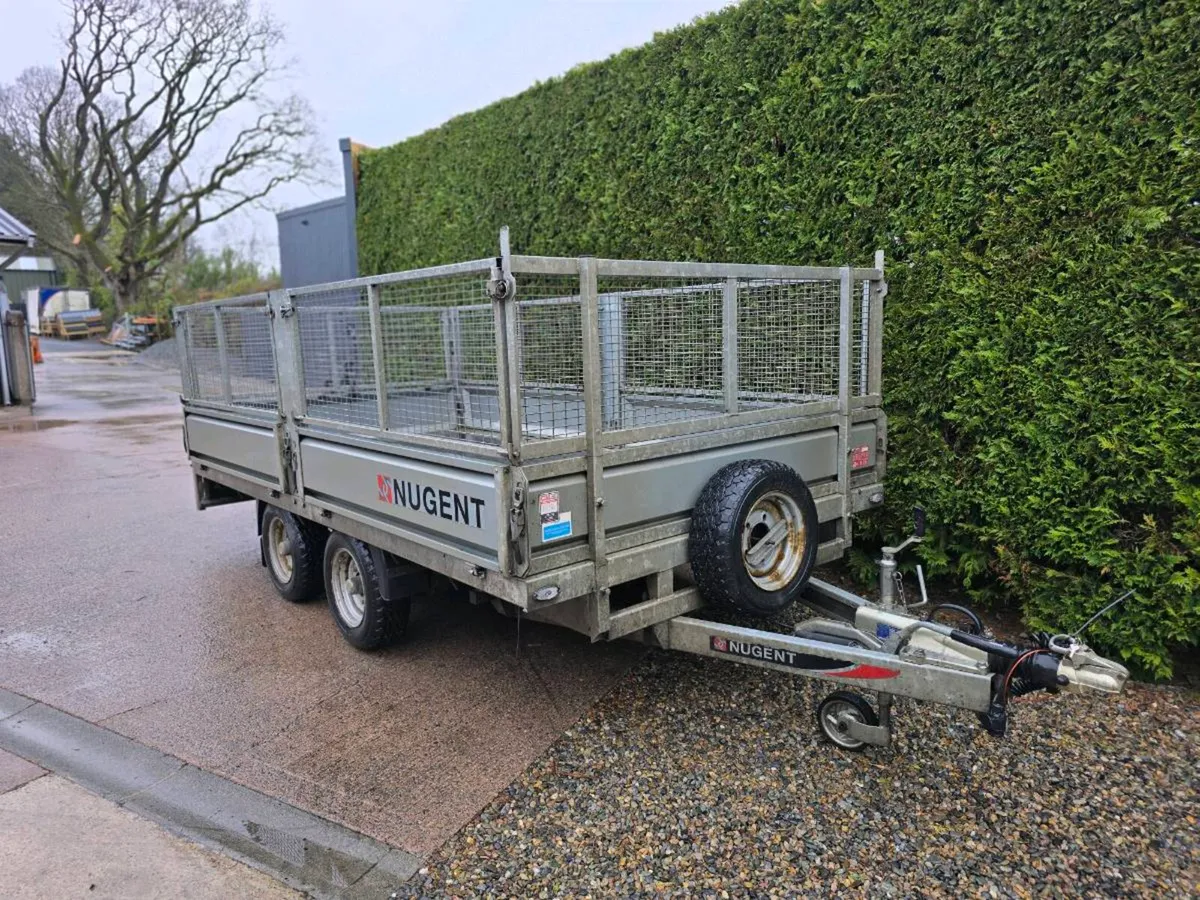 Nugent 12ft Dropside trailer with meshsides - Image 4