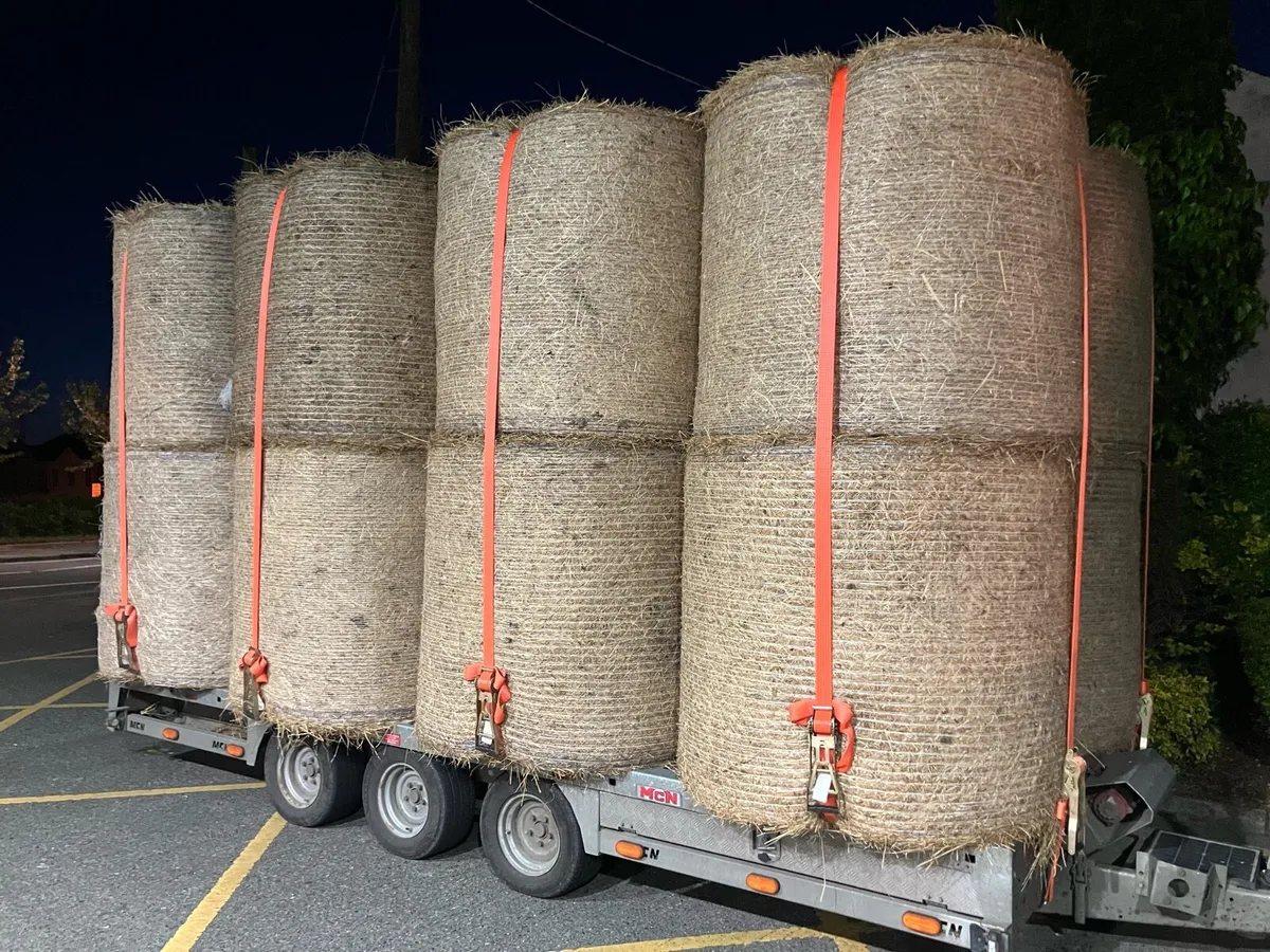 HAY & STRAW         **ALL TOP QUALITY ** - Image 2