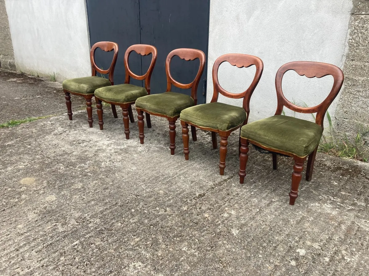 Antique Chairs x 5 - Balloon Back - Image 2