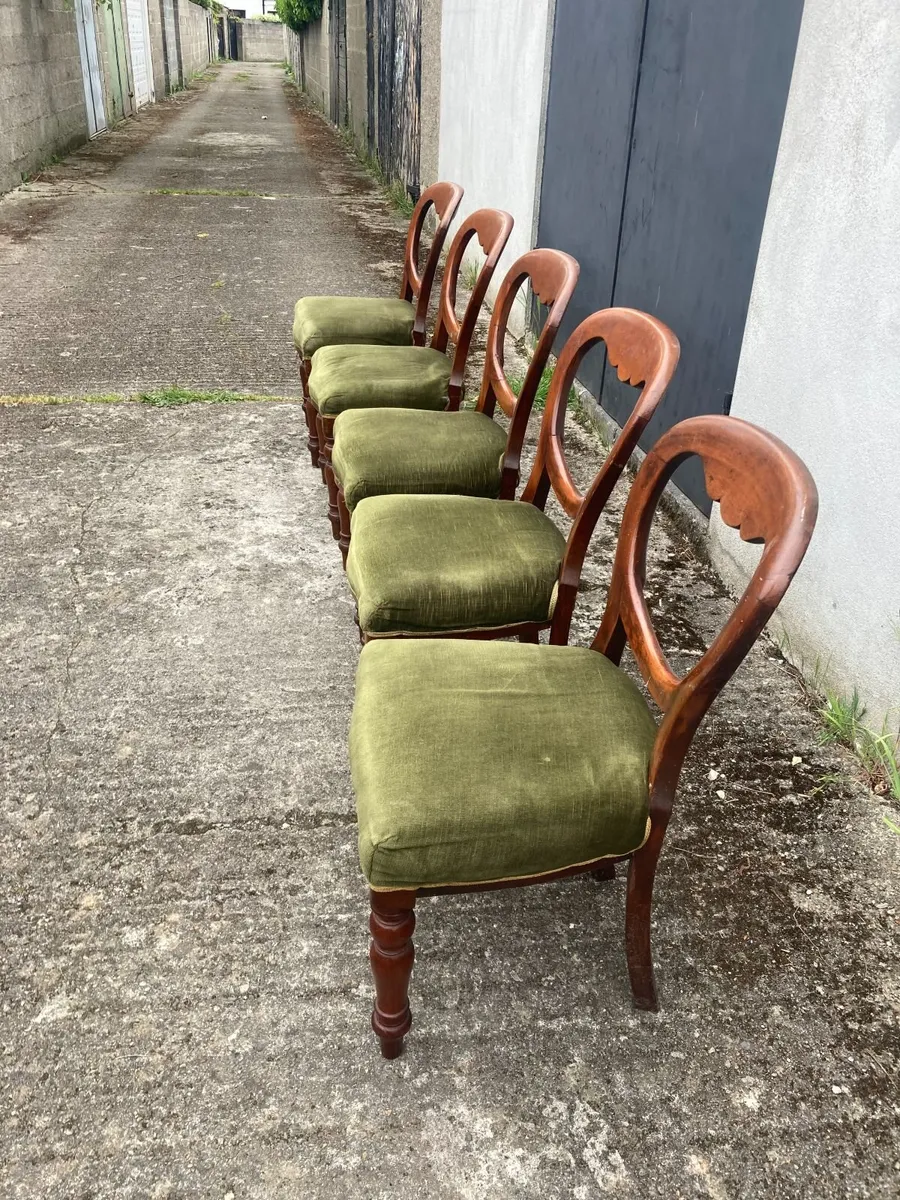 Antique Chairs x 5 - Balloon Back - Image 4