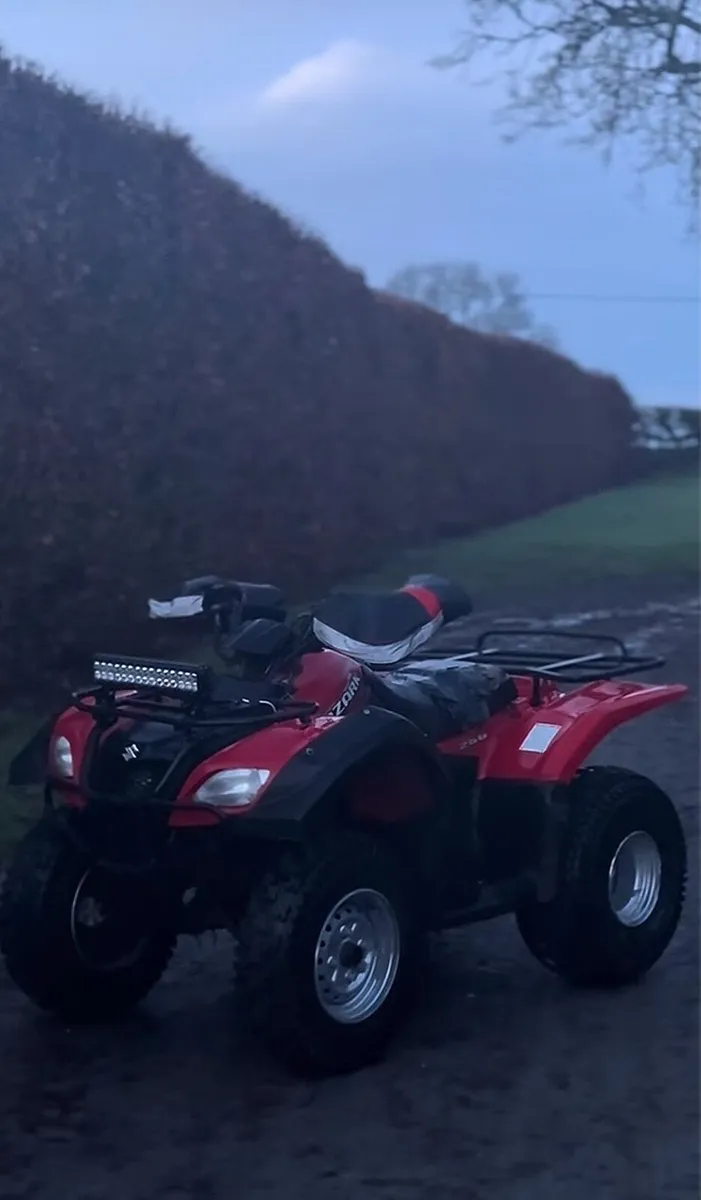 Suzuki ozark 250 - Image 1