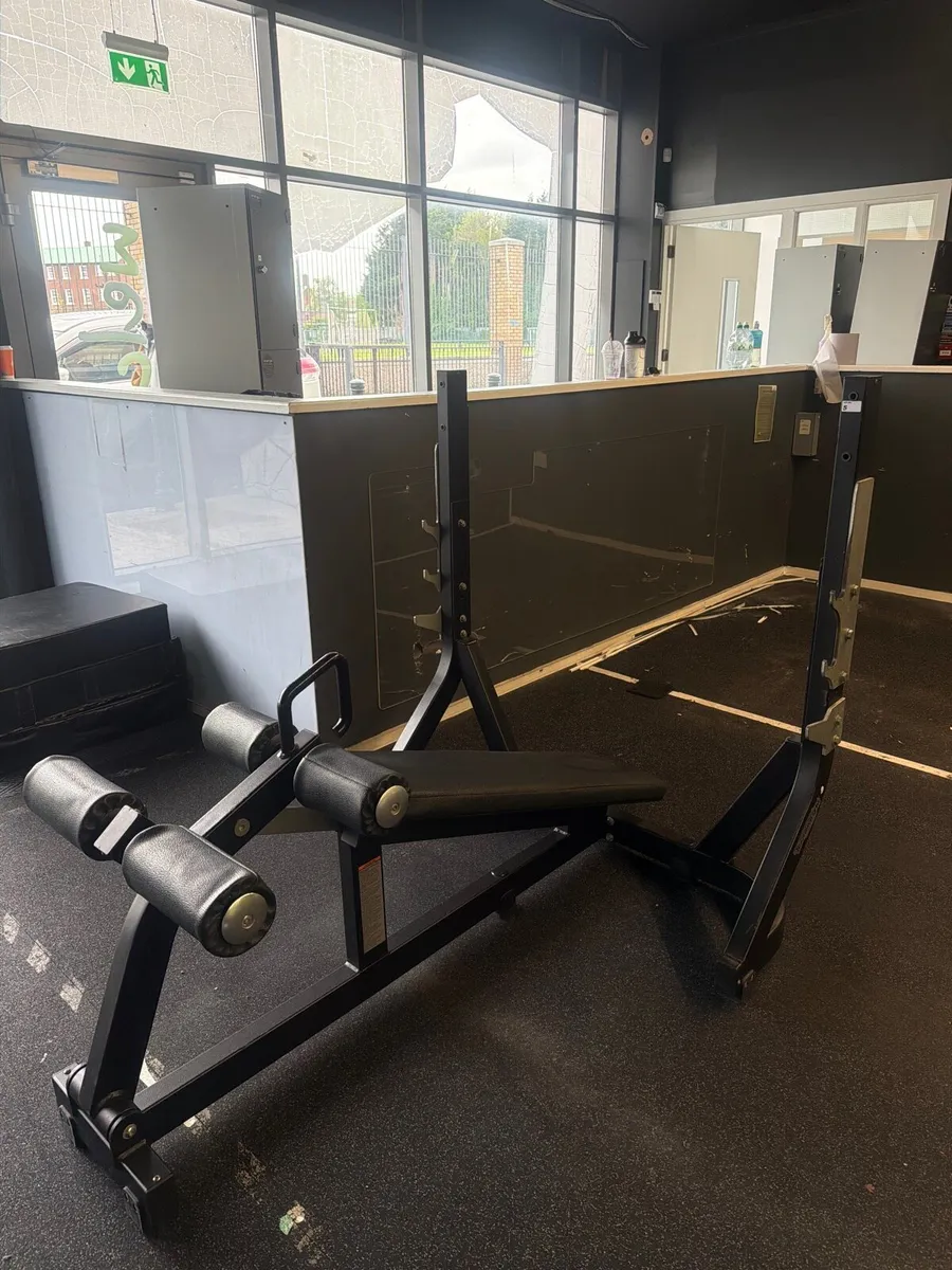 Technogym decline bench - Image 3