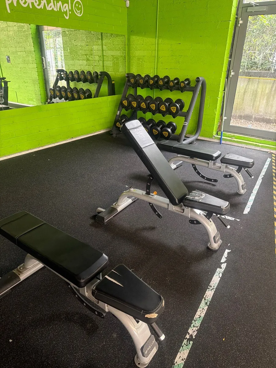 Precor commercial bench - Image 1