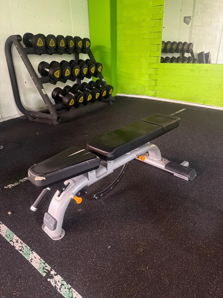 Precor commercial bench - Image 4