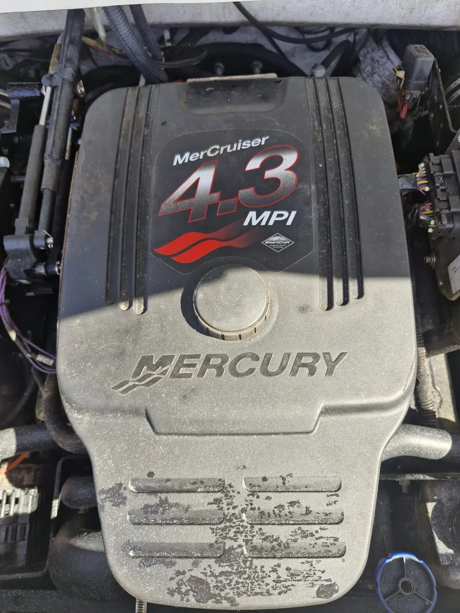 Boats and engine for sale - Image 3