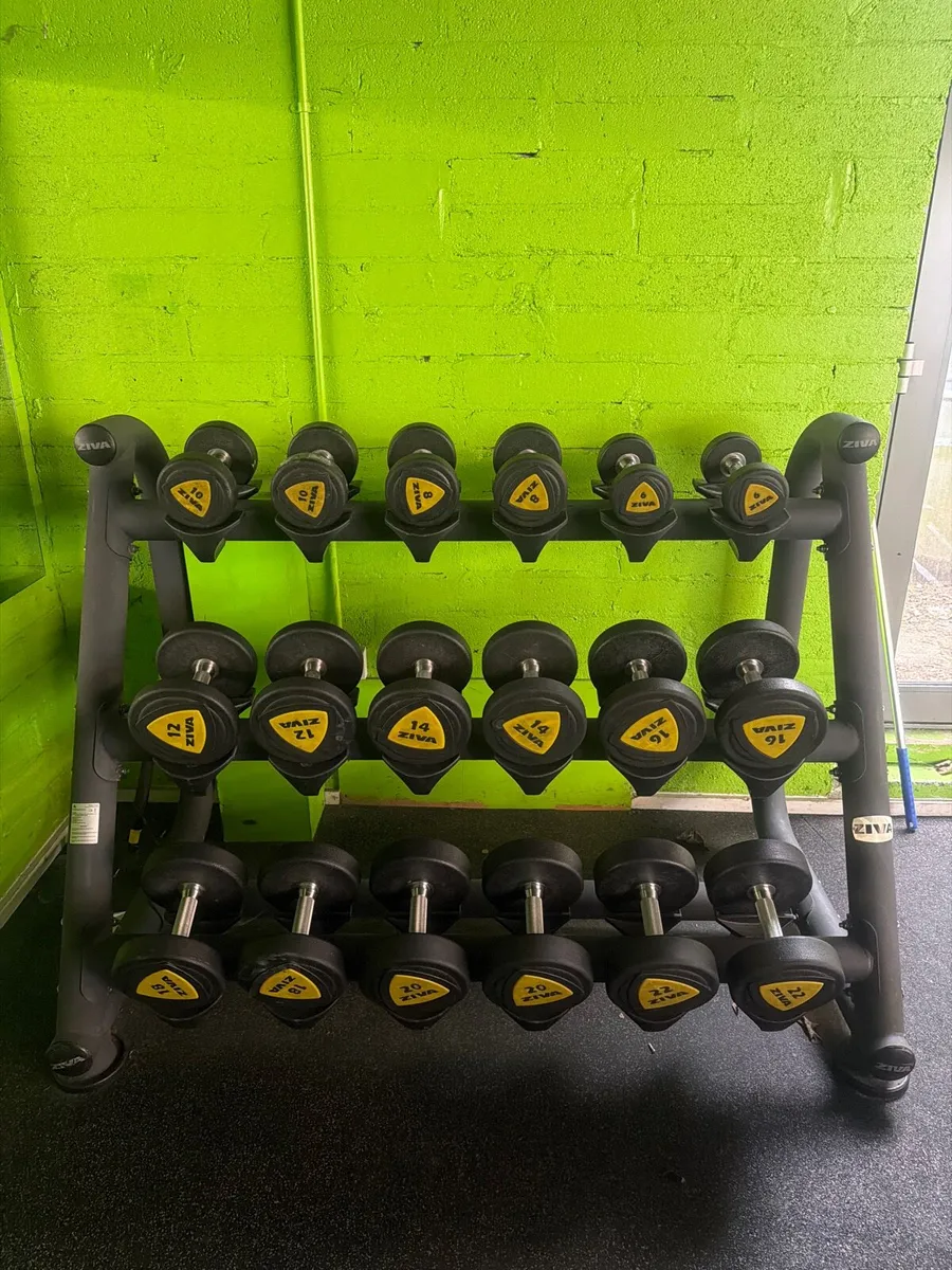 Dumbbells - Image 1