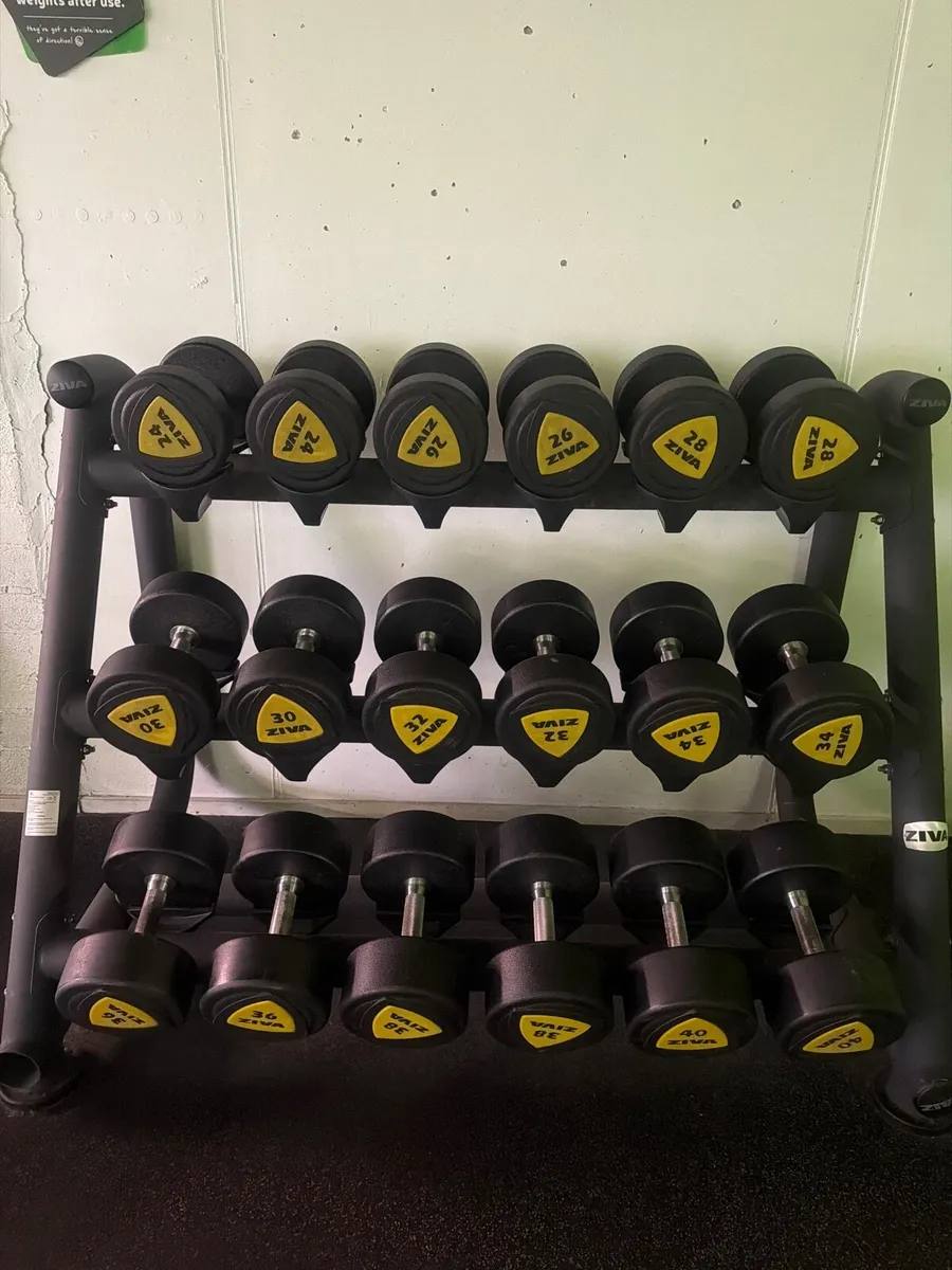 Dumbbells - Image 2