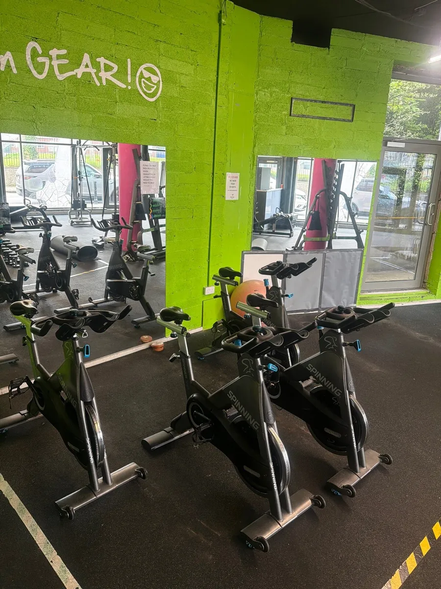 Spinner Shift bikes - Image 1