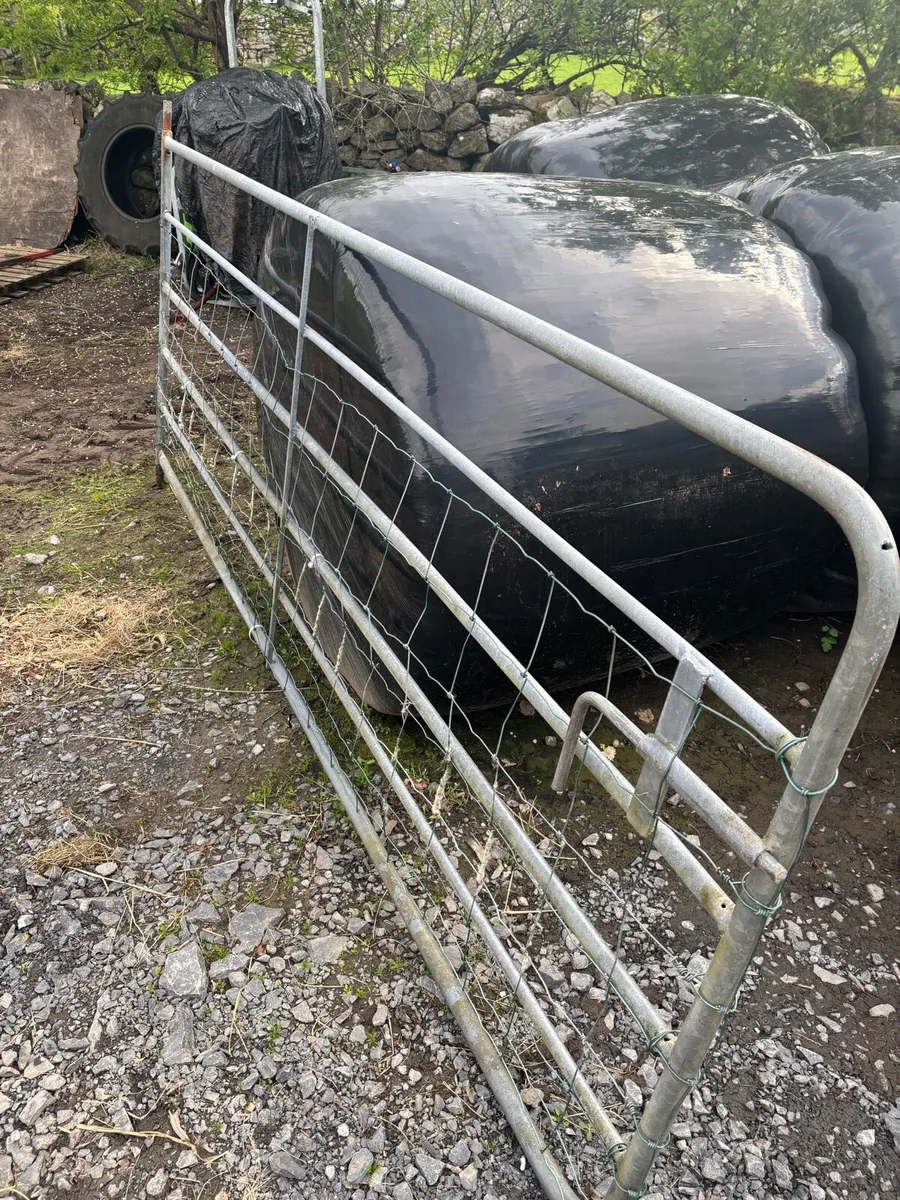 2 x 10 Foot Cattle Gates - Image 1