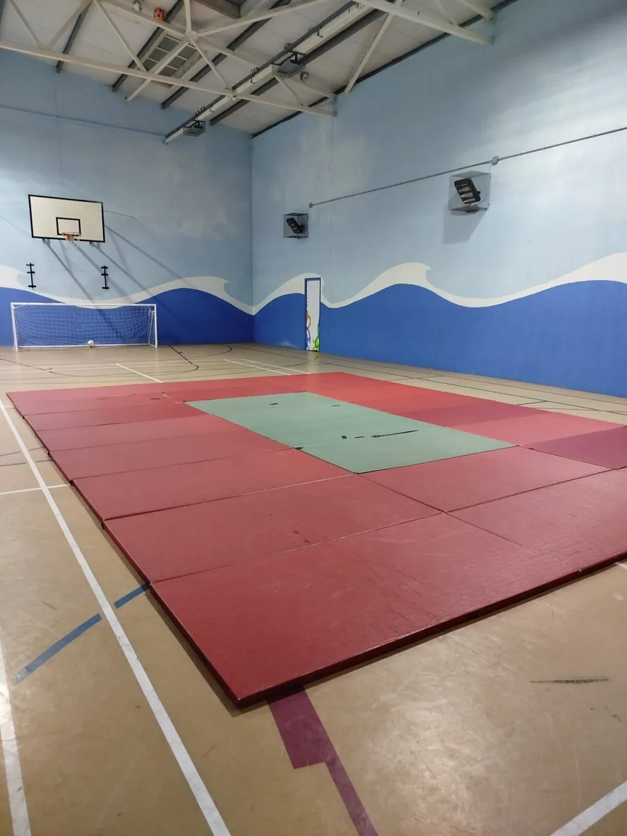 Martial arts mats - Image 1