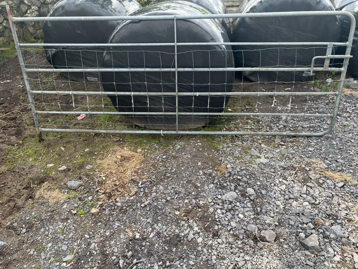 2 x 10 Foot Cattle Gates - Image 2