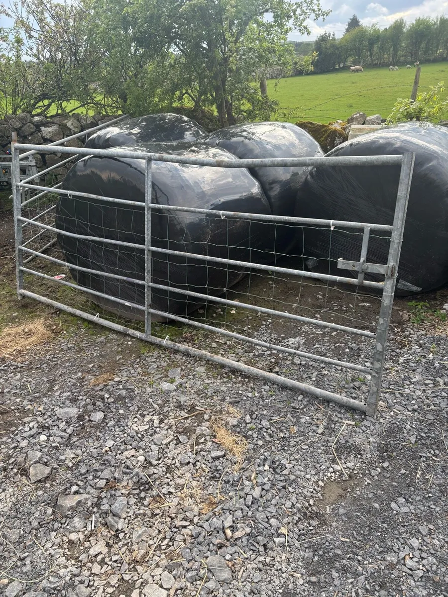 2 x 10 Foot Cattle Gates - Image 3