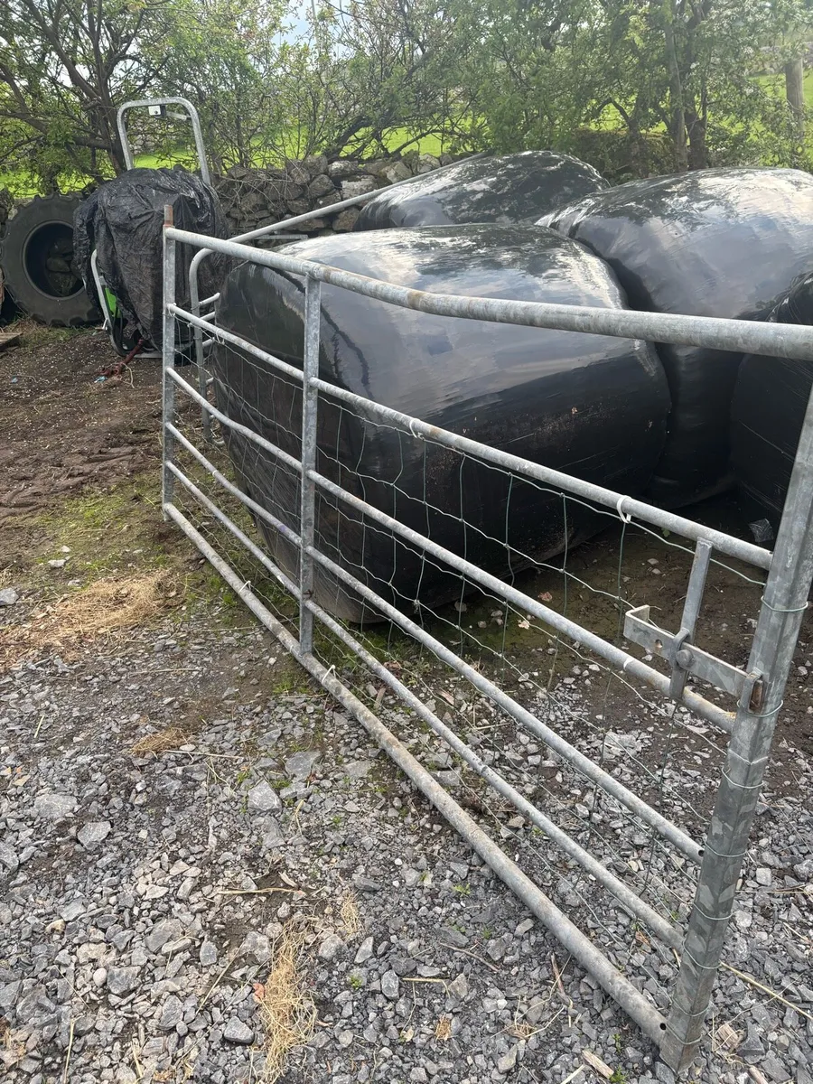 2 x 10 Foot Cattle Gates - Image 4