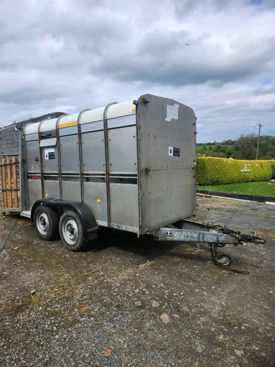 Cattle/sheep trailer - Image 1