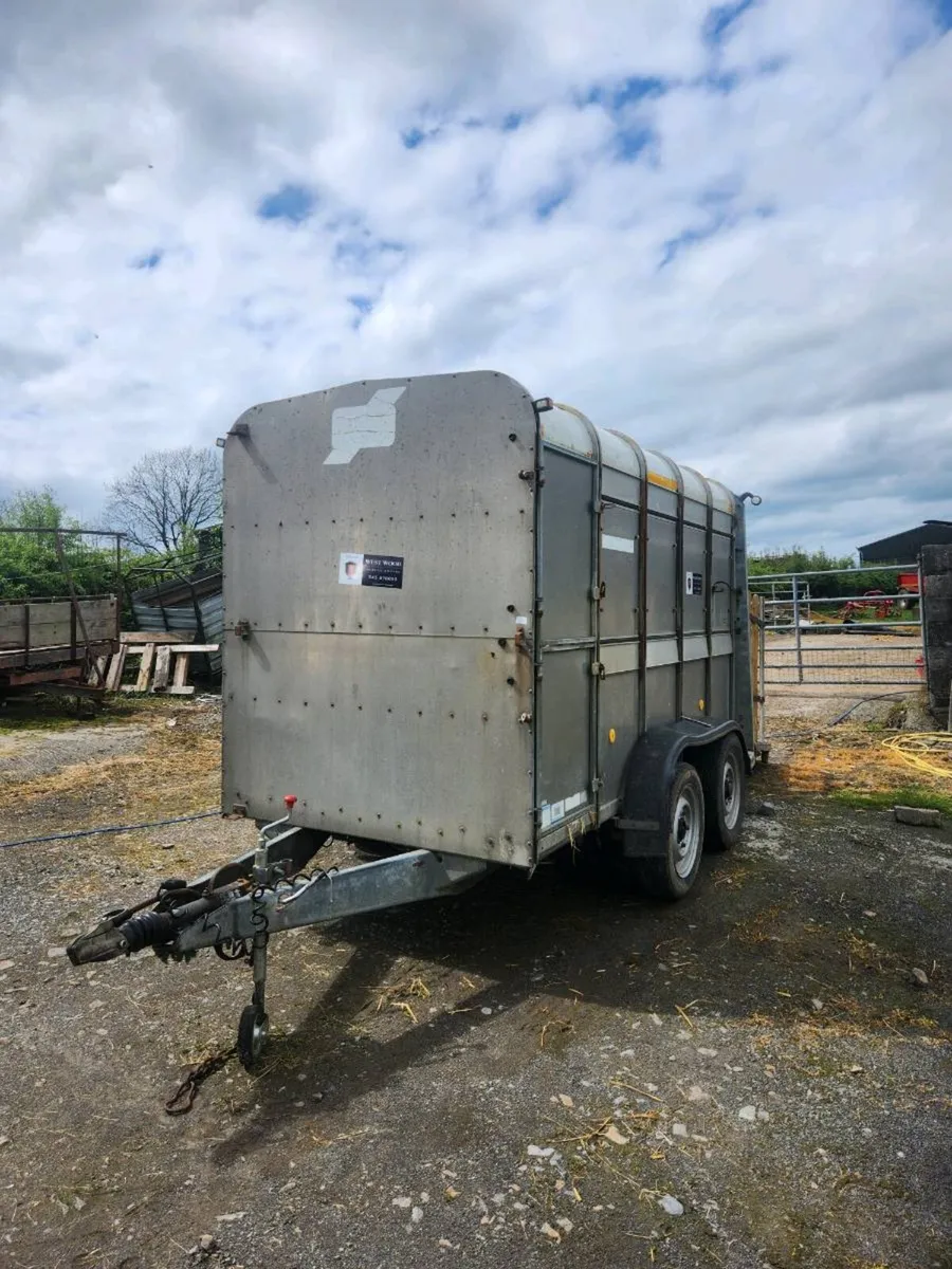 Cattle/sheep trailer - Image 2