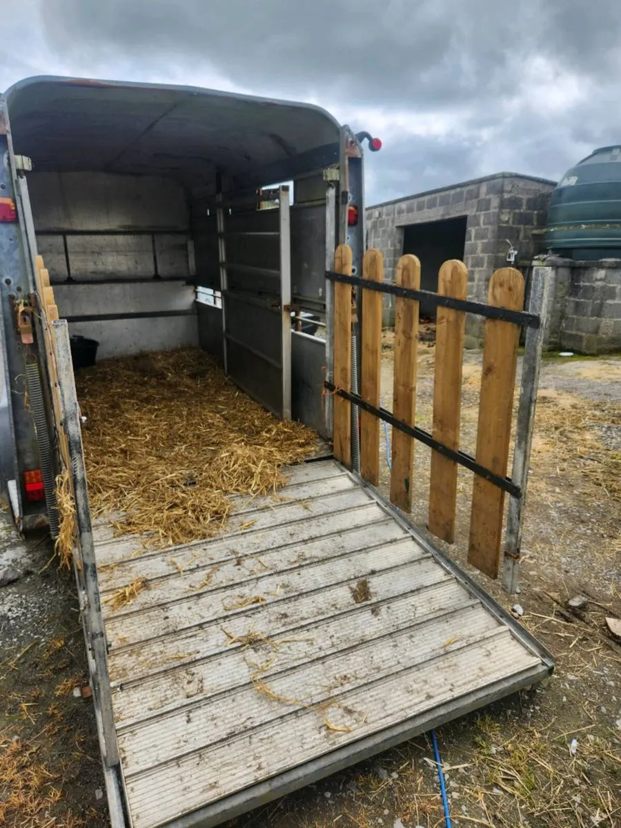 Cattle/sheep trailer - Image 3