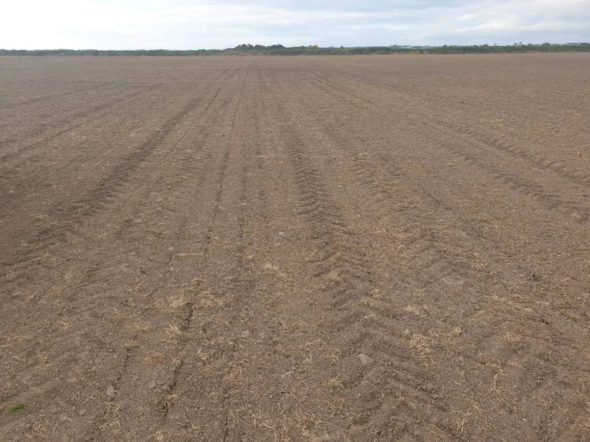 Seed Drill - Image 2