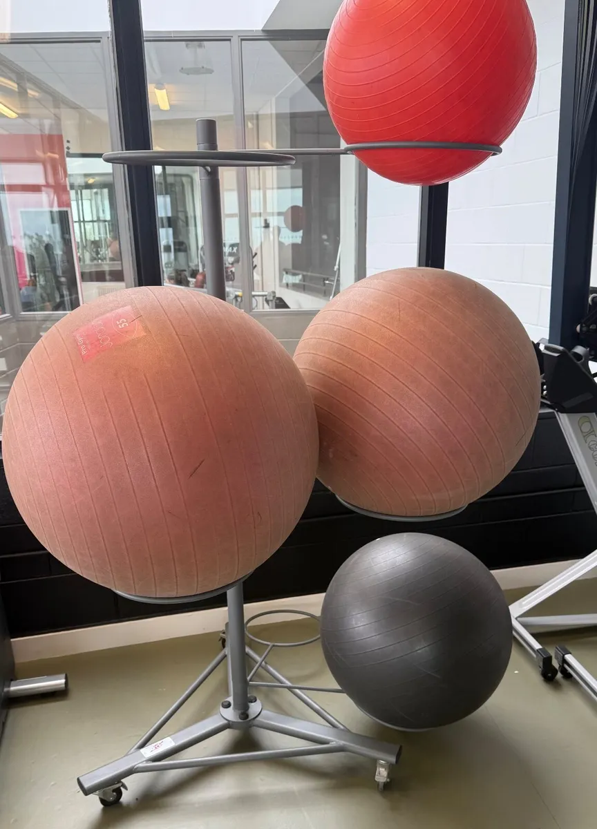 Gym Ball Holder