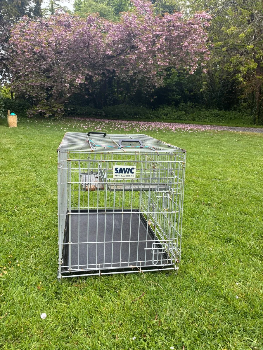 Dog Cage - Image 1