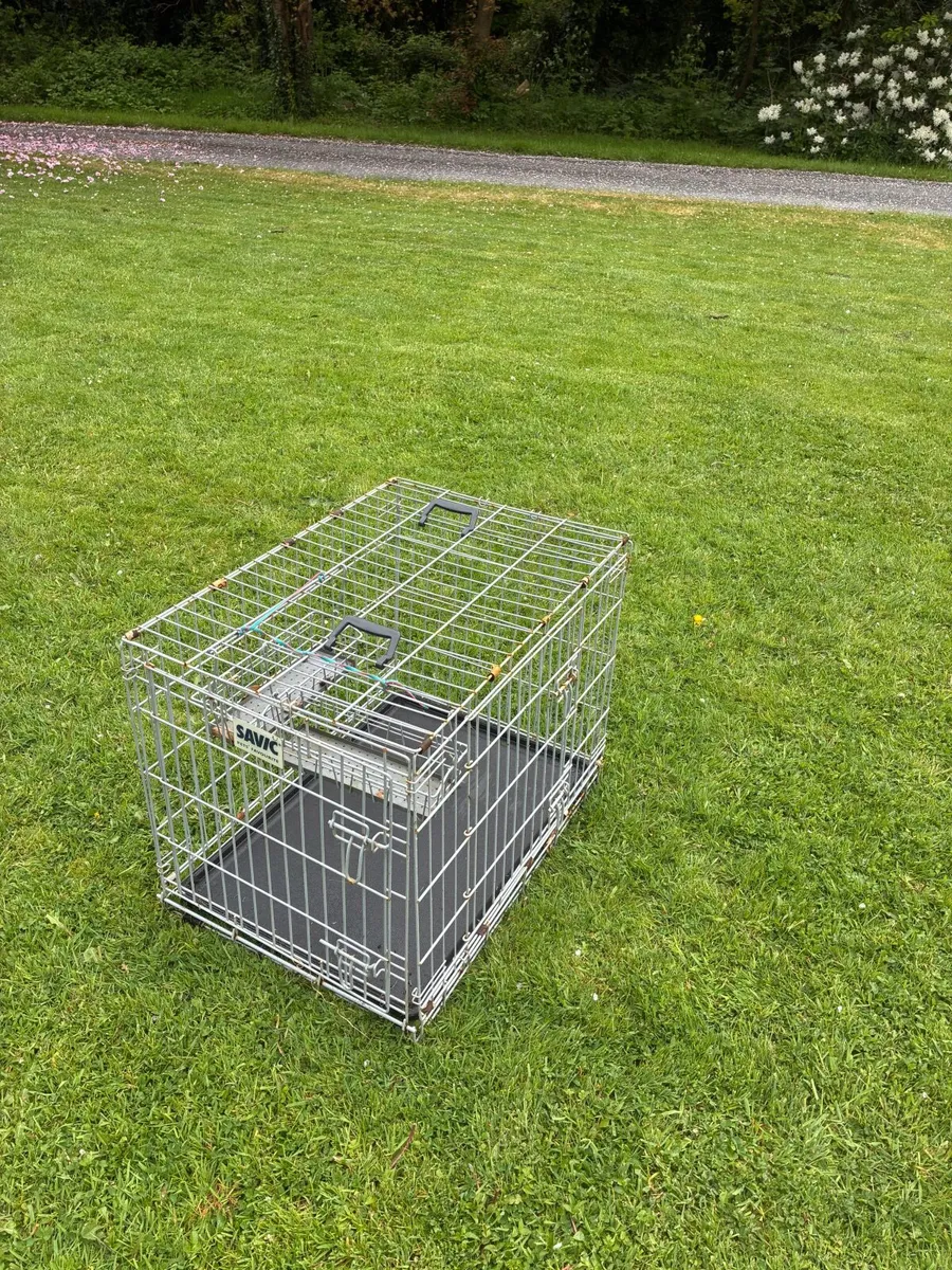 Dog Cage - Image 3