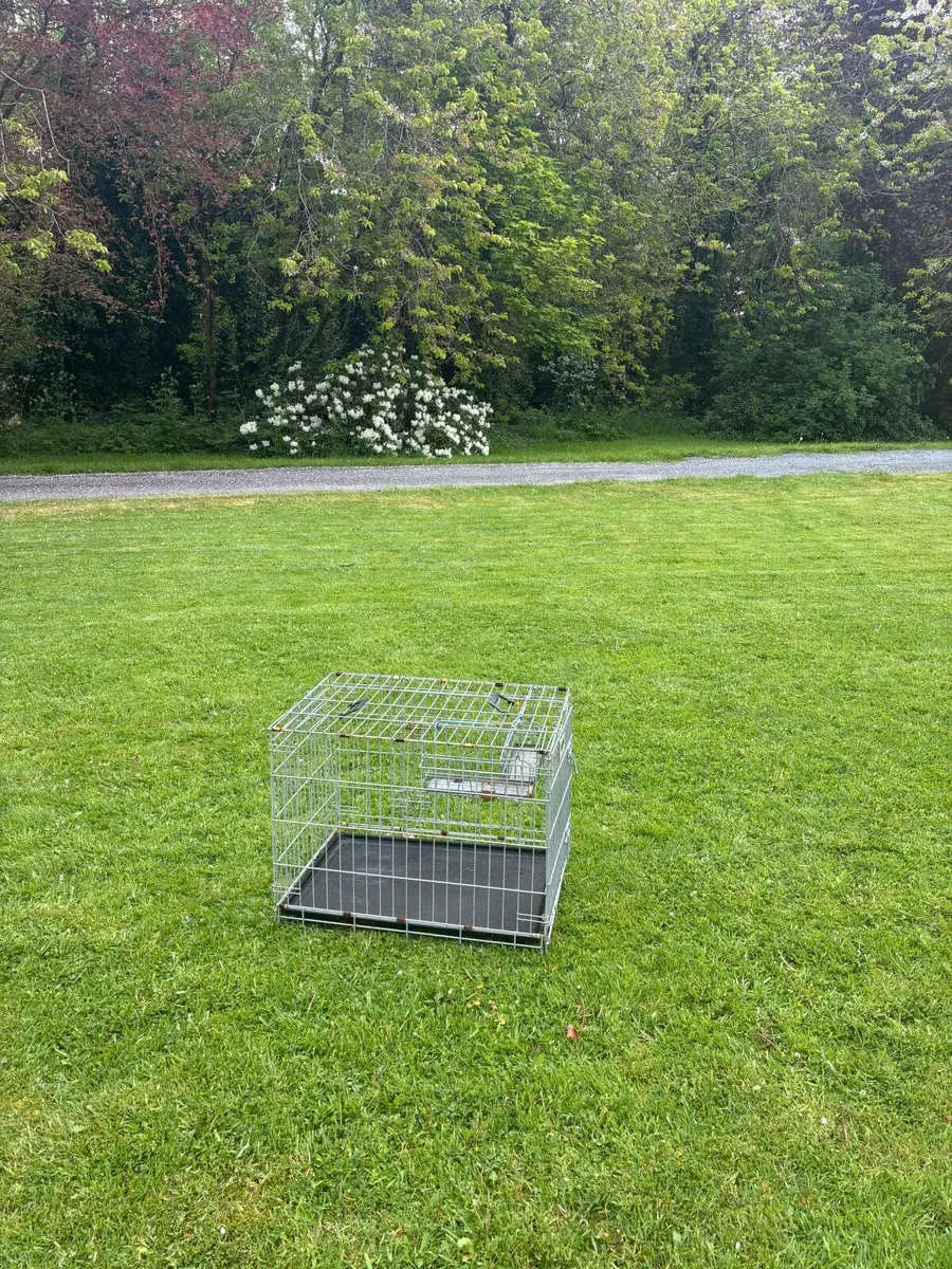 Dog Cage - Image 4