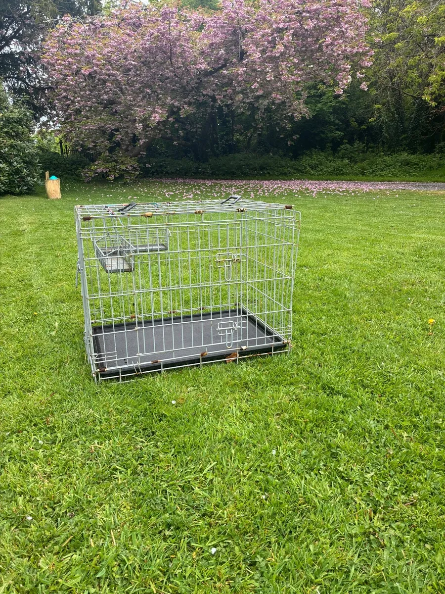 Dog Cage - Image 2