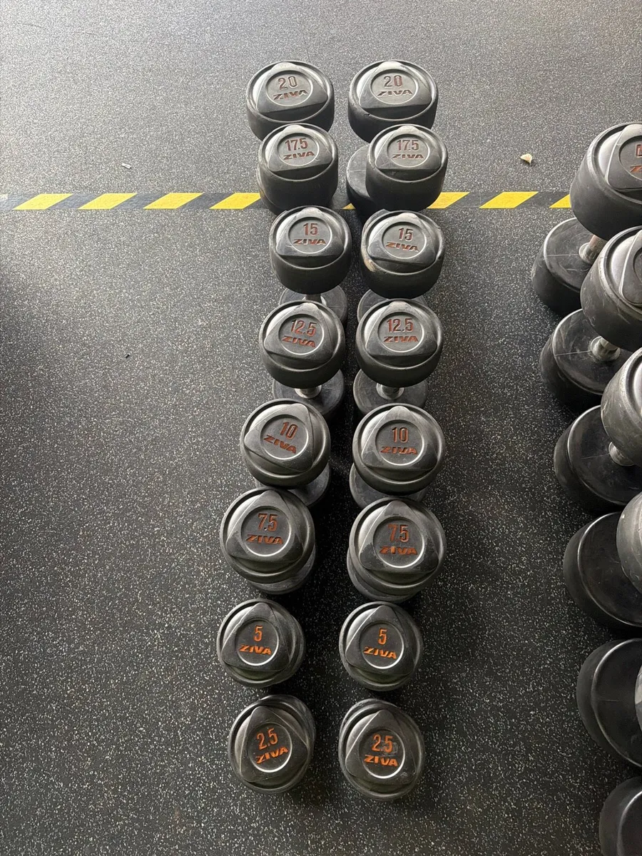 Dumbbells - Image 1
