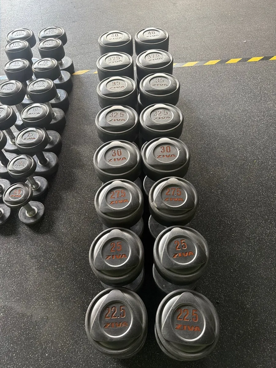Dumbbells - Image 2
