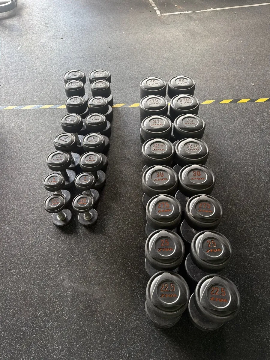 Dumbbells - Image 3