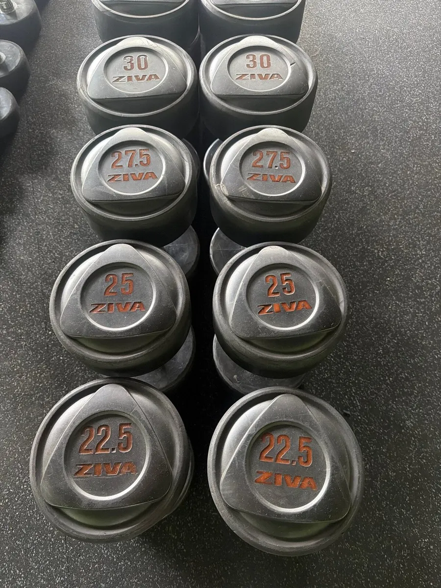 Dumbbells - Image 4