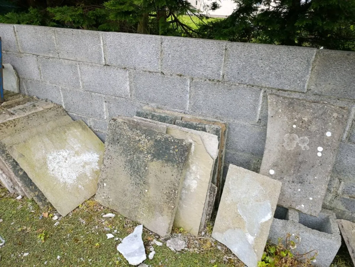 Limestone paving - Image 3
