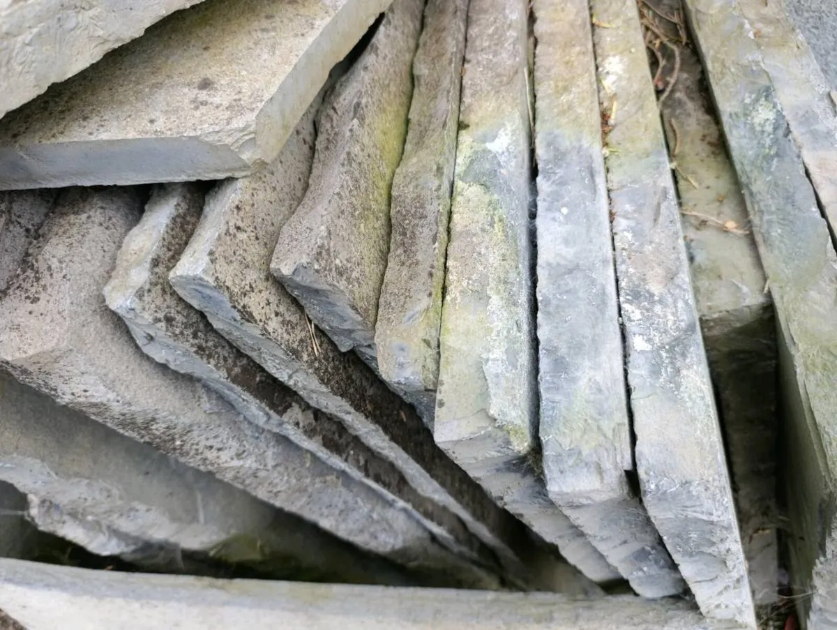 Limestone paving - Image 4