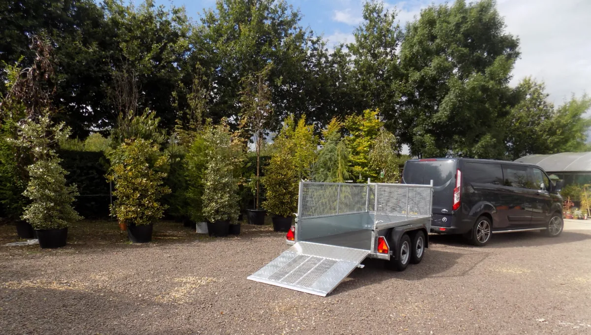 10x5 Nugent Car trailer - Image 2