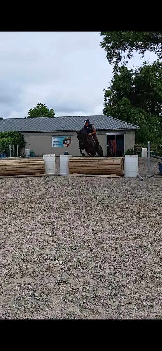 Horse - Image 4