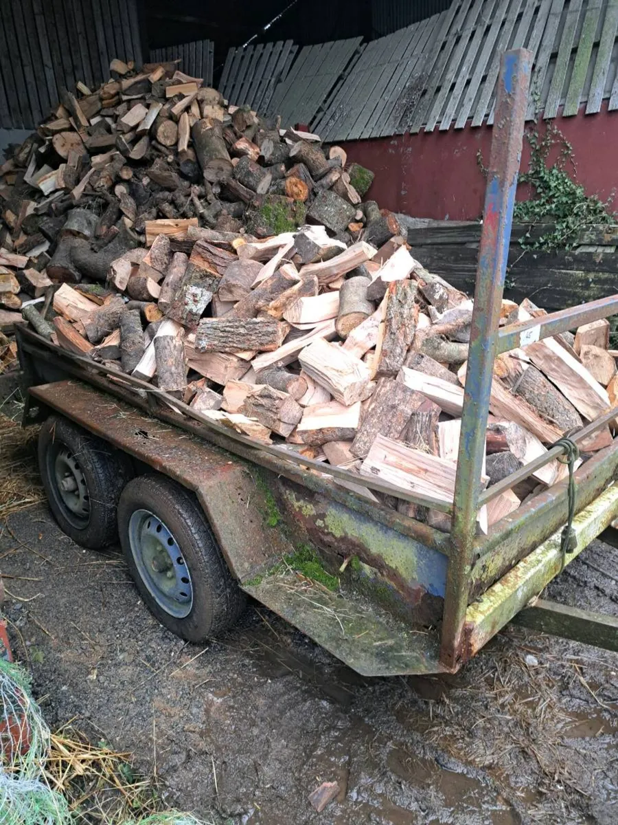 A/ Firewood - Image 1