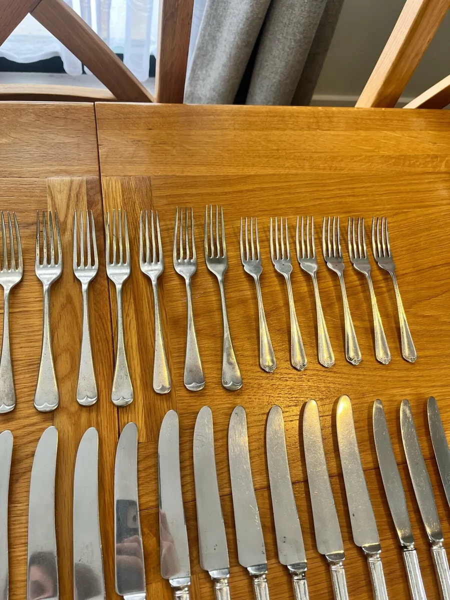 Vintage Newbridge Flatware Set x 47 Pieces - Image 3
