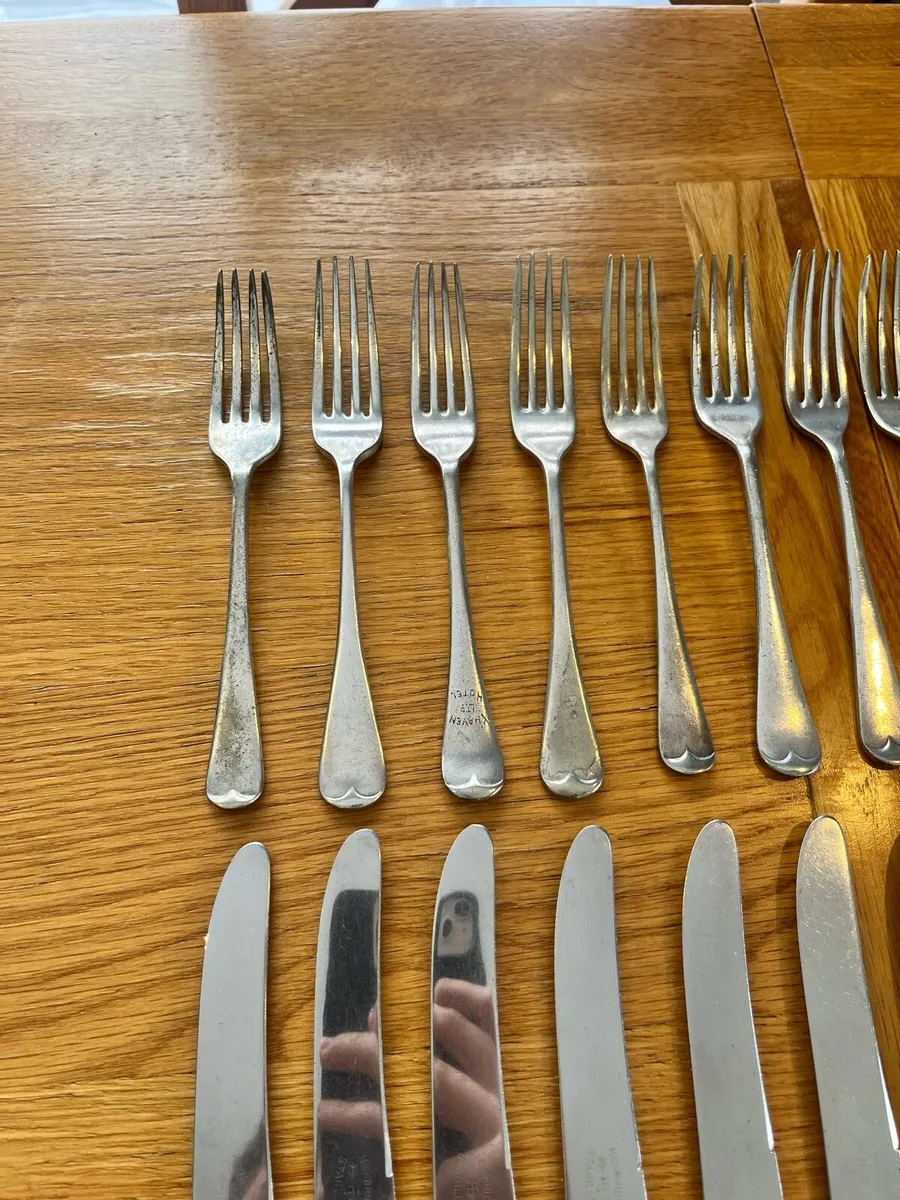 Vintage Newbridge Flatware Set x 47 Pieces - Image 2