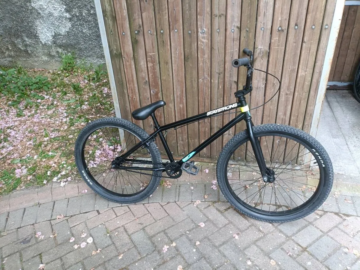 BMX - Image 2