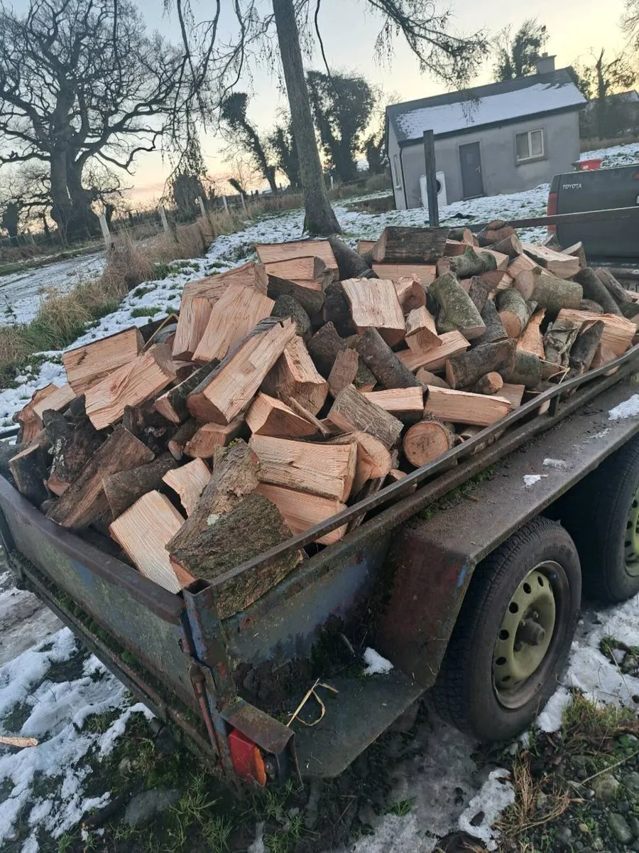 A/ Firewood - Image 2