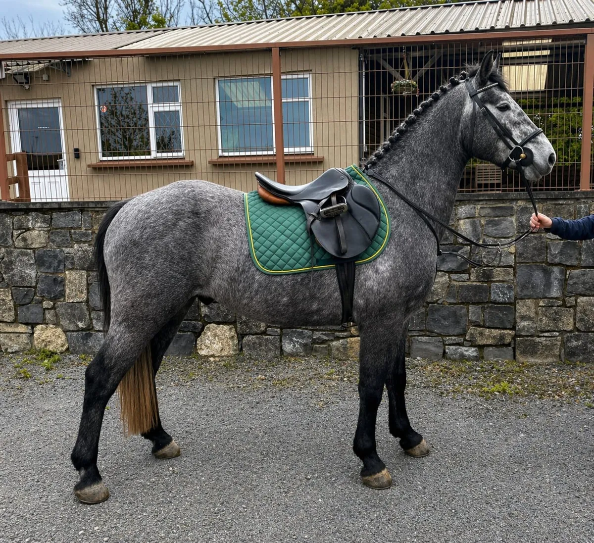 Goresbridge lot 155 - Image 1