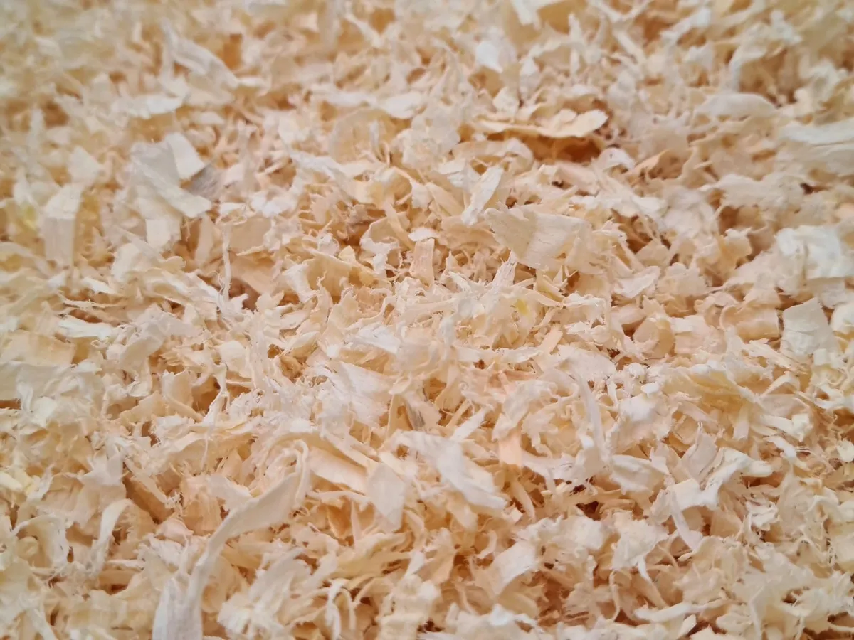 Wood Shavings - Image 1
